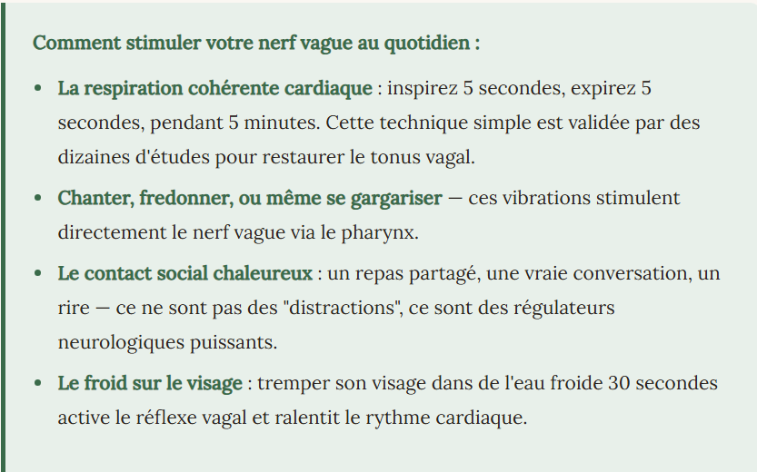 Le nerf vague