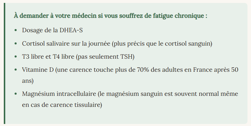 La DHEA est une hormone précurseur