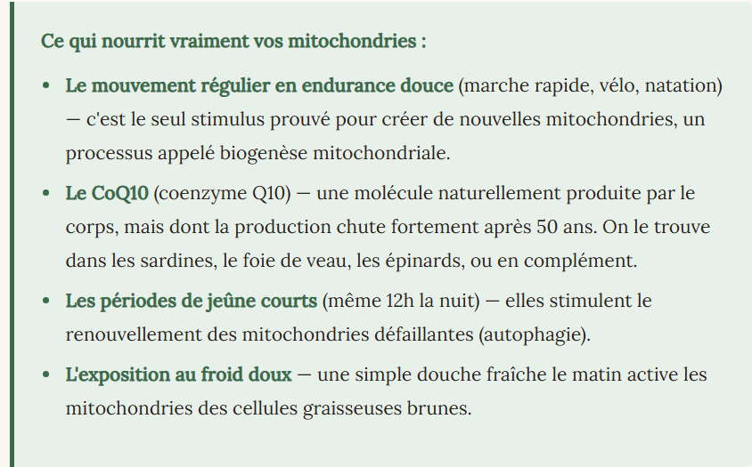 Les mitochondries