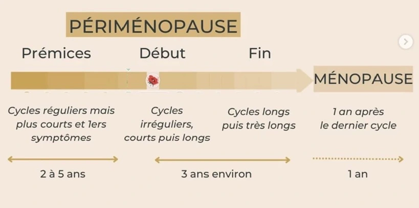 Périménopause